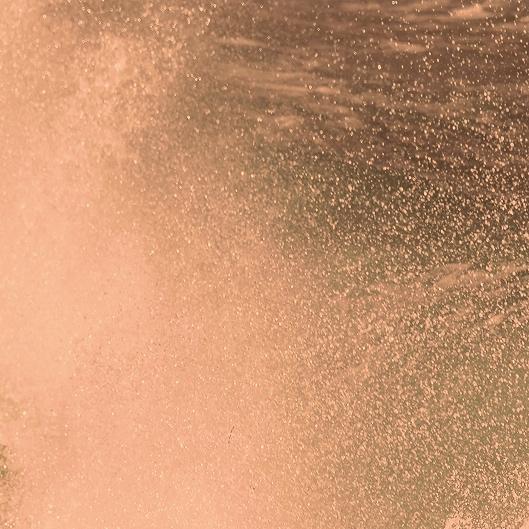 Keep it Bronzed Membership